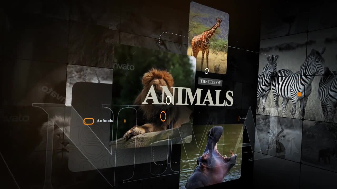 African Animals Videohive 55812768 After Effects Image 2