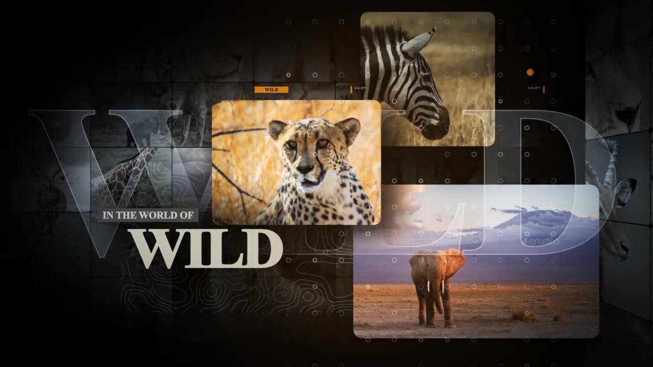 African Animals Videohive 55812768 After Effects Image 4