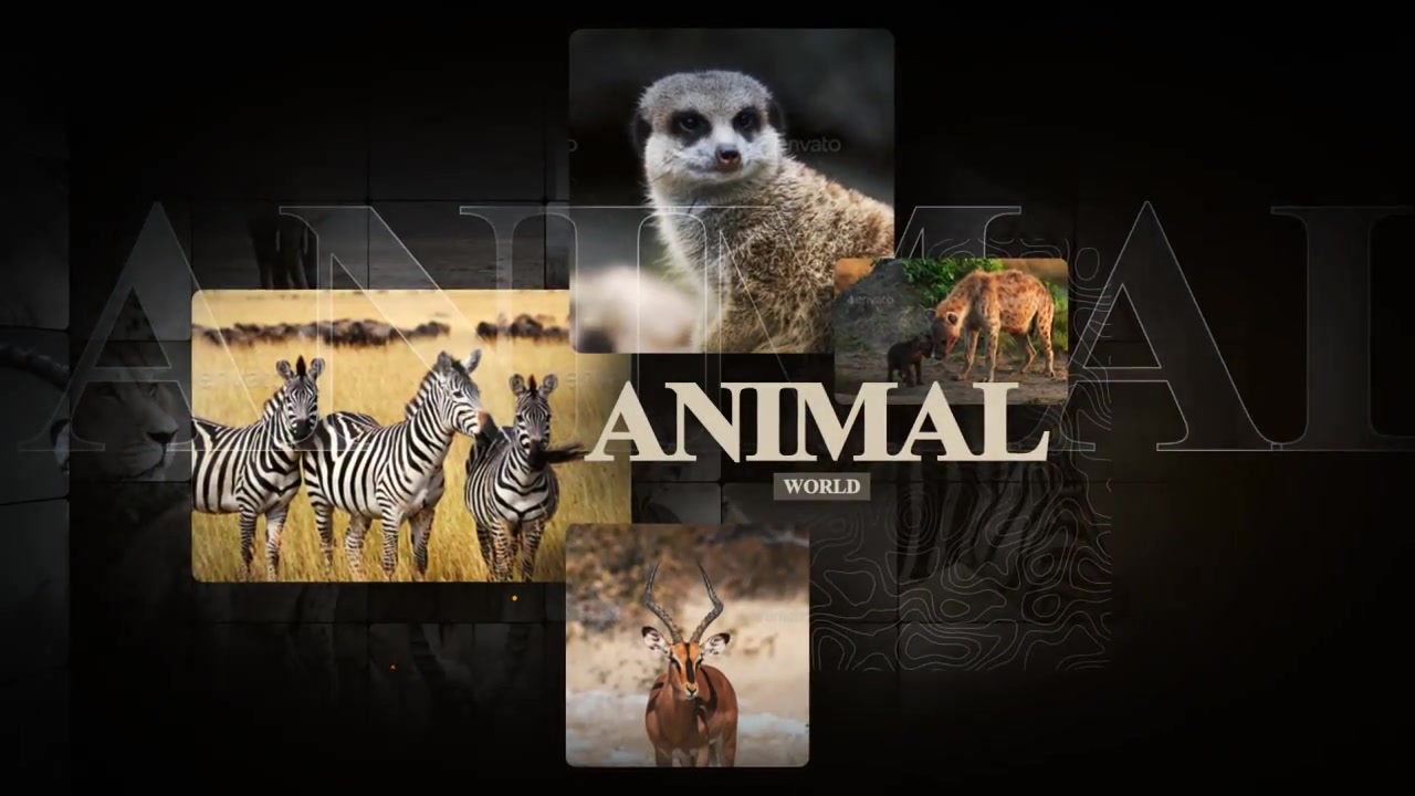 African Animals Videohive 55812768 After Effects Image 6
