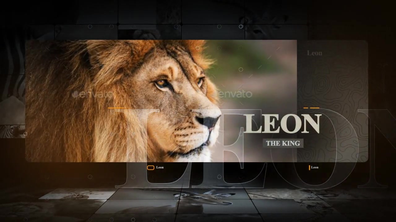African Animals Videohive 55812768 After Effects Image 7