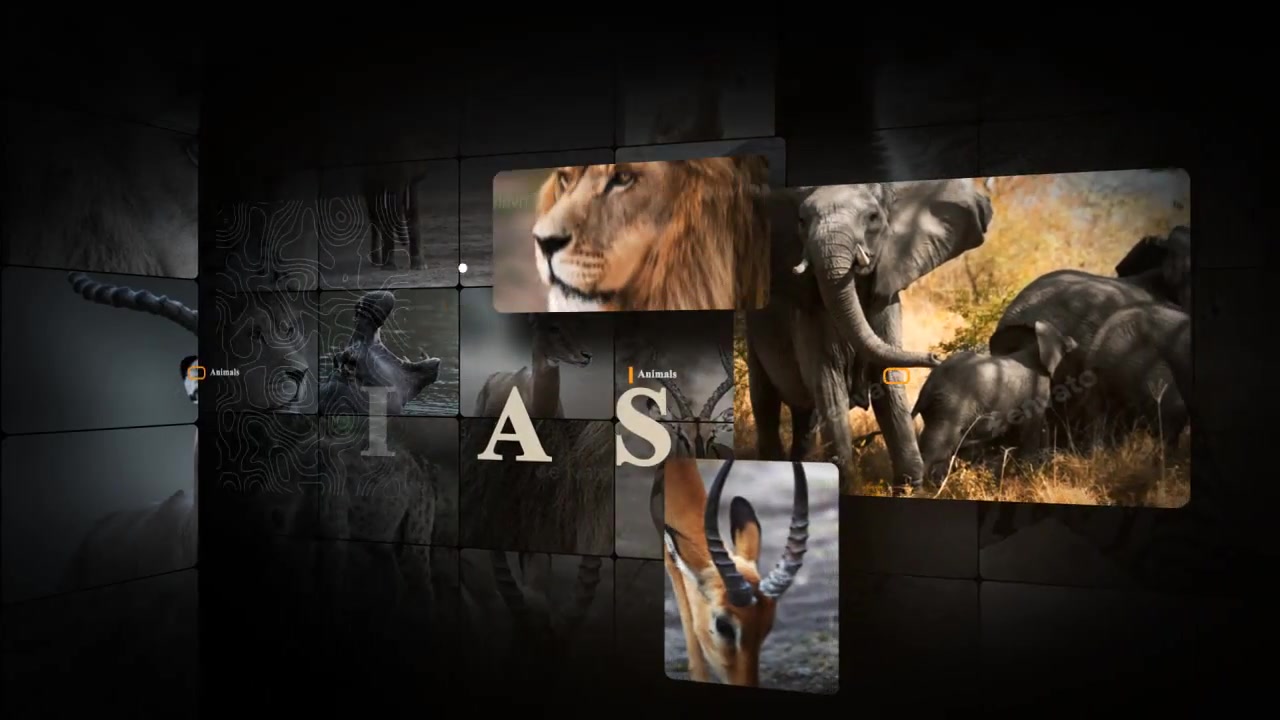 African Animals Videohive 55812768 After Effects Image 9