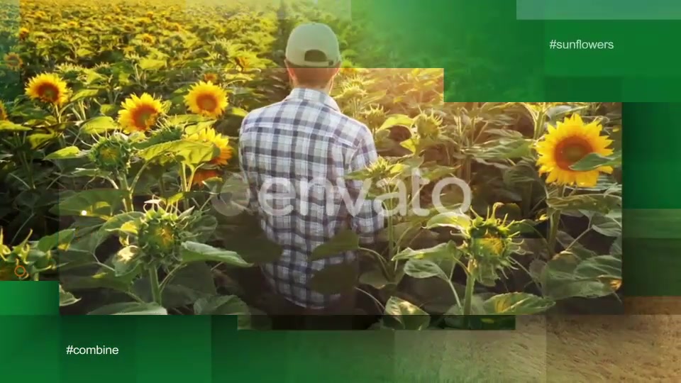 Agrarian Vision Videohive 28581167 After Effects Image 5