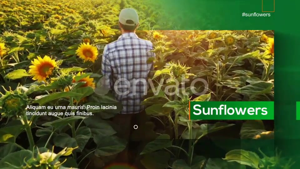 Agrarian Vision Videohive 28581167 After Effects Image 6