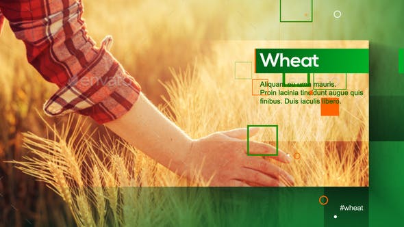 Agrarian Vision - Videohive Download 28581167