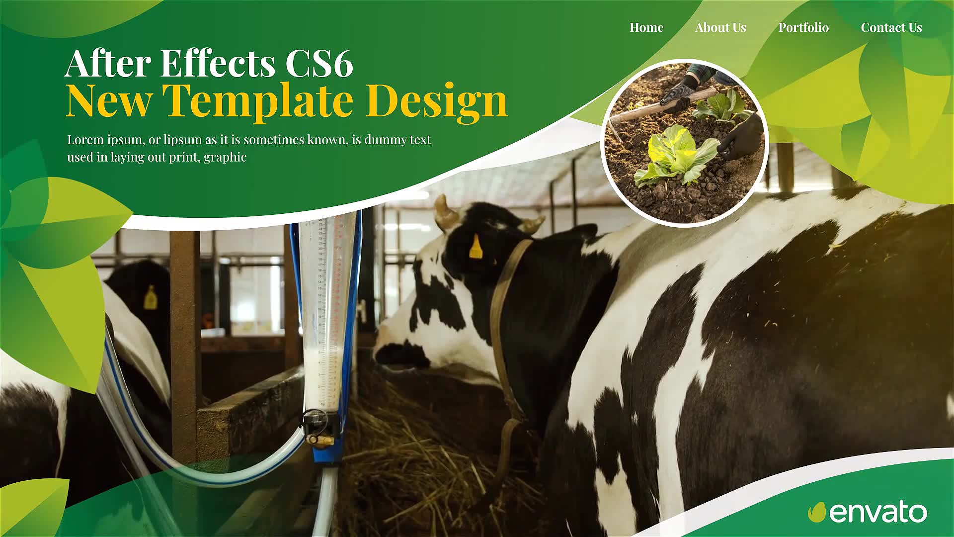 Agriculture Farming Business Videohive 28277312 After Effects Image 7