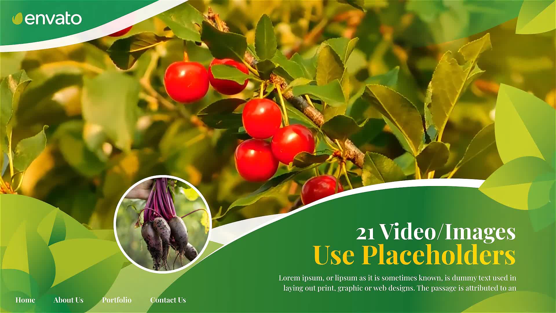 Agriculture Farming Business Videohive 28277312 After Effects Image 8