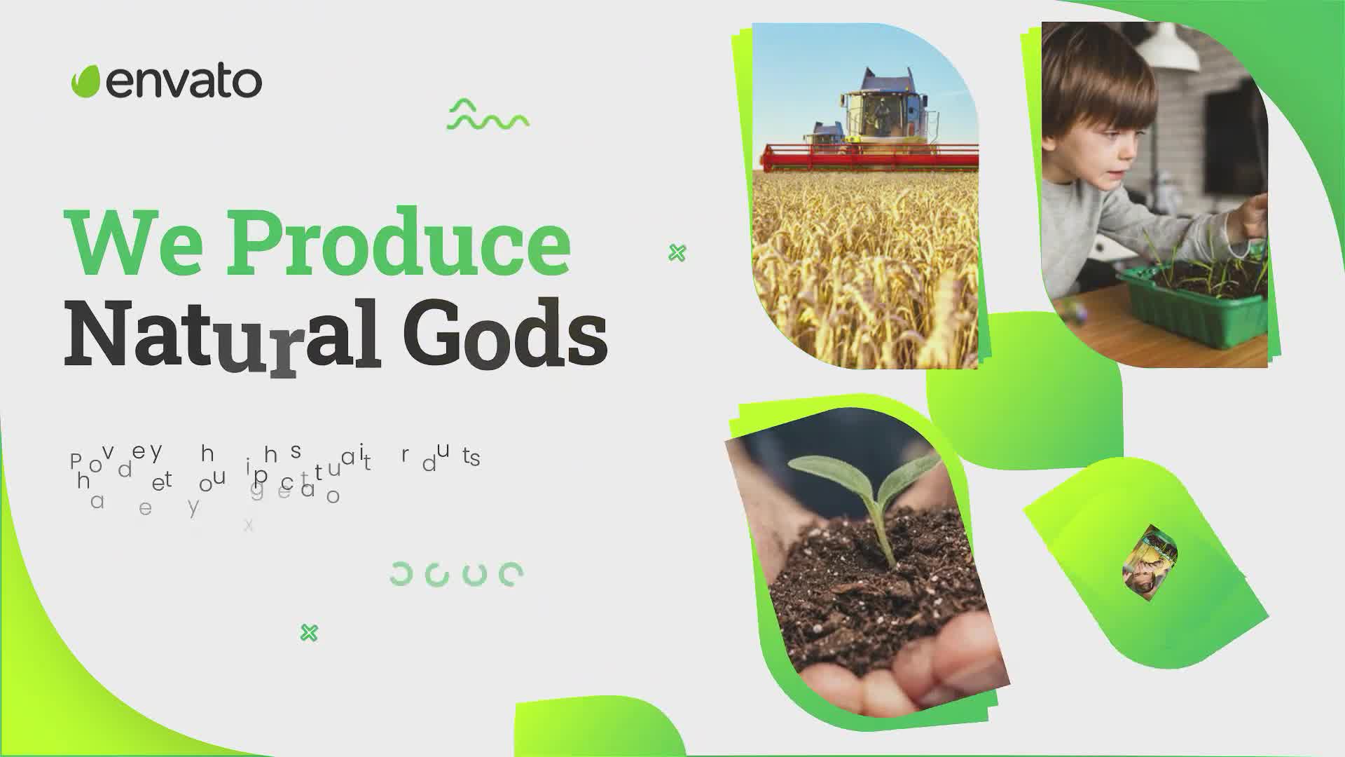 Agriculture Farming Business Promo Videohive 32702044 After Effects Image 10