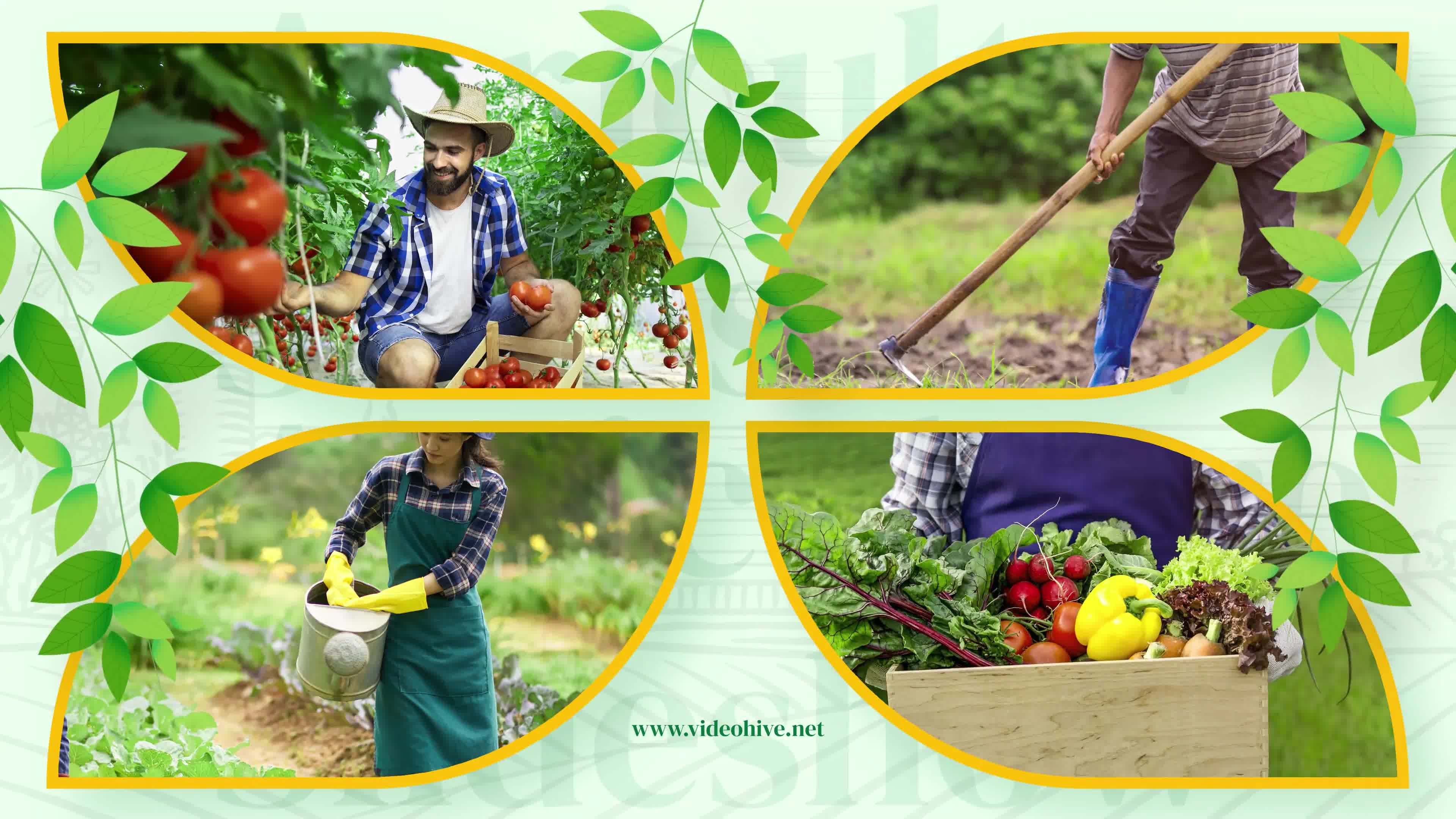 Agriculture Farming Business Slideshow Videohive 34275633 After Effects Image 8