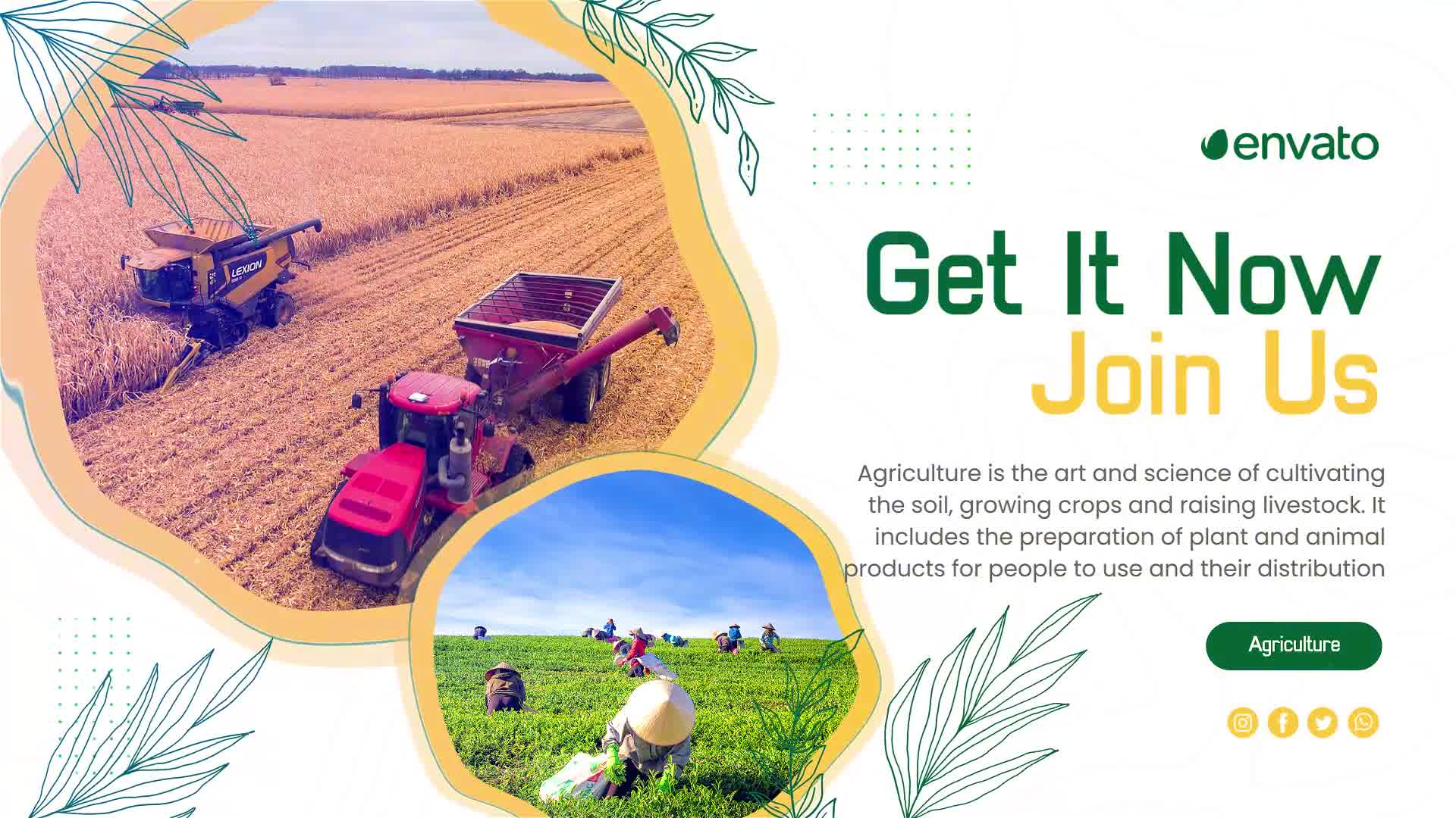 Agriculture Farming Slideshow Videohive 36366160 After Effects Image 10