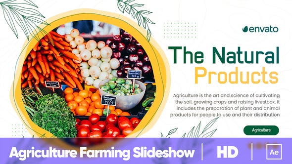 Agriculture Farming Slideshow - Download 36366160 Videohive