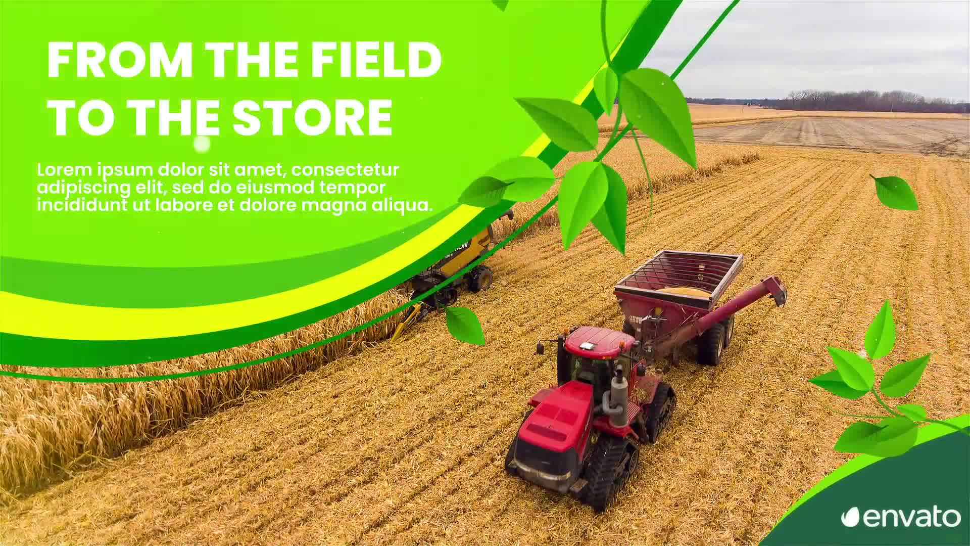 Agriculture Farming Slideshow | MOGRT Videohive 33840695 Premiere Pro Image 10
