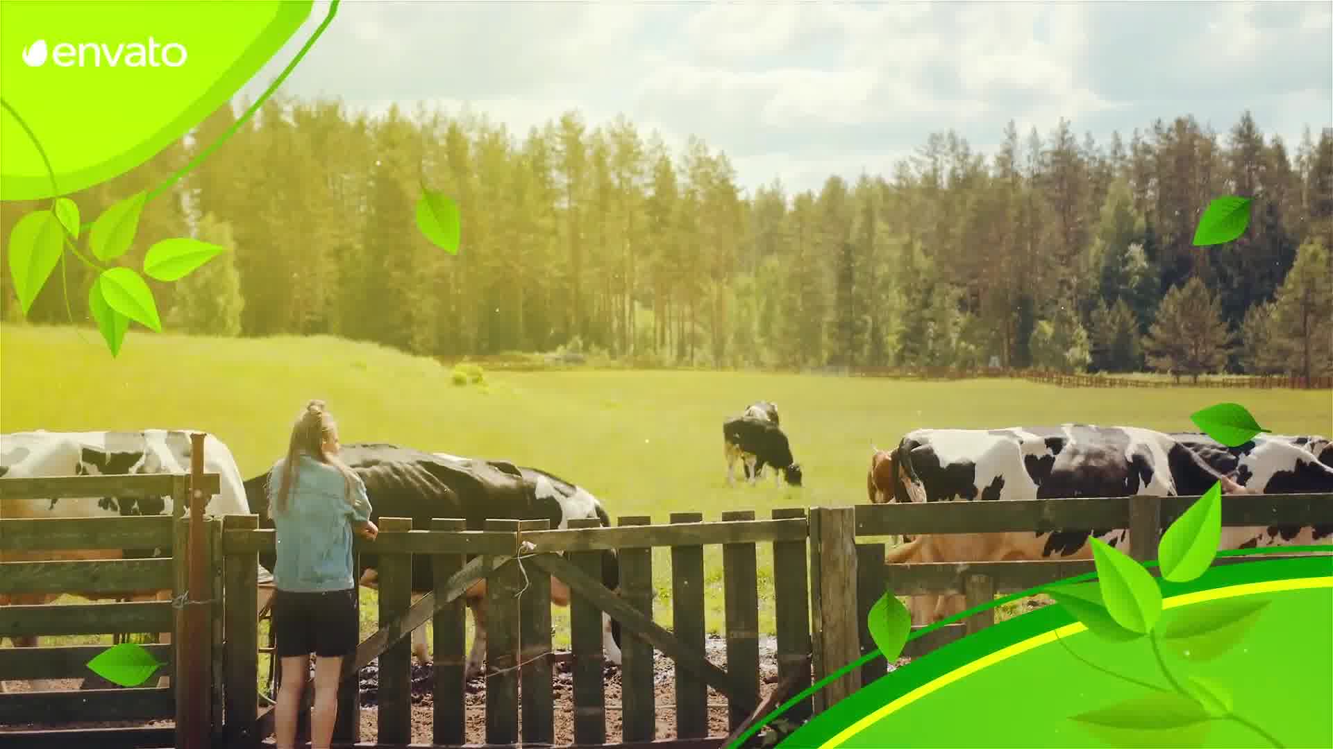 Agriculture Farming Slideshow | MOGRT Videohive 33840695 Premiere Pro Image 11