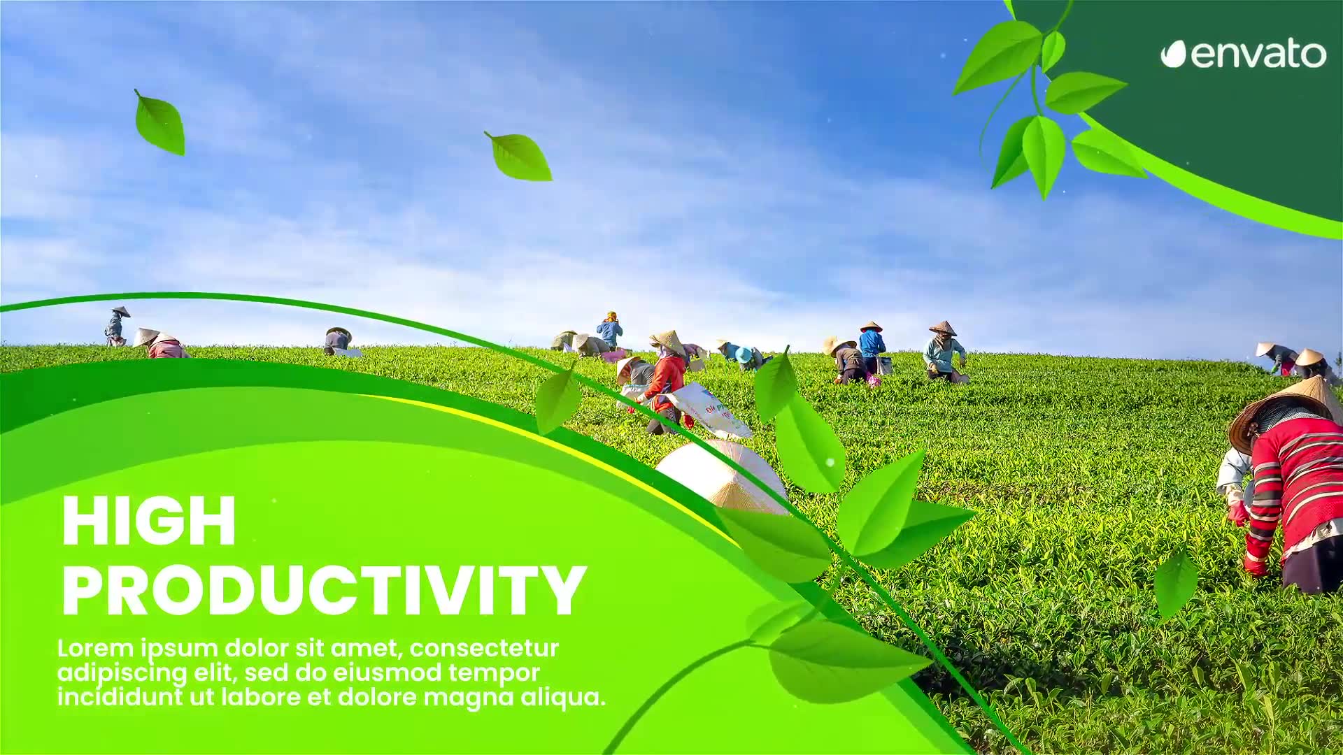 Agriculture Farming Slideshow | MOGRT Videohive 33840695 Premiere Pro Image 7