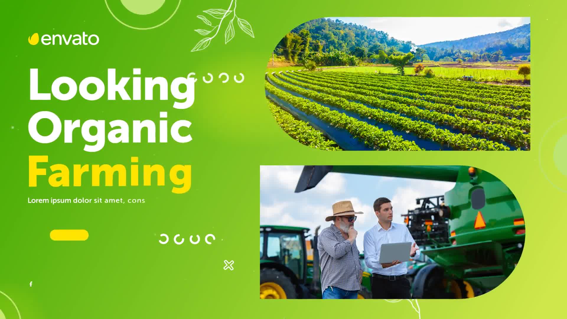 Agriculture Promo Videohive 33738846 After Effects Image 10