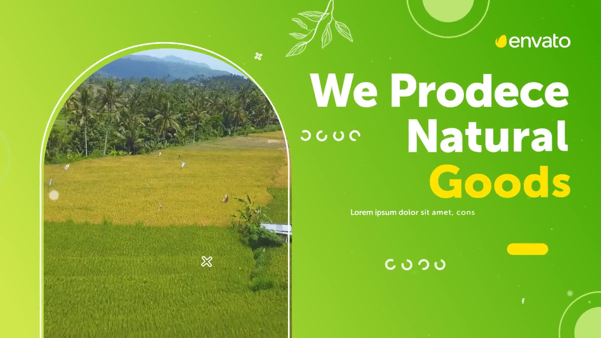 Agriculture Promo Videohive 33738846 After Effects Image 11