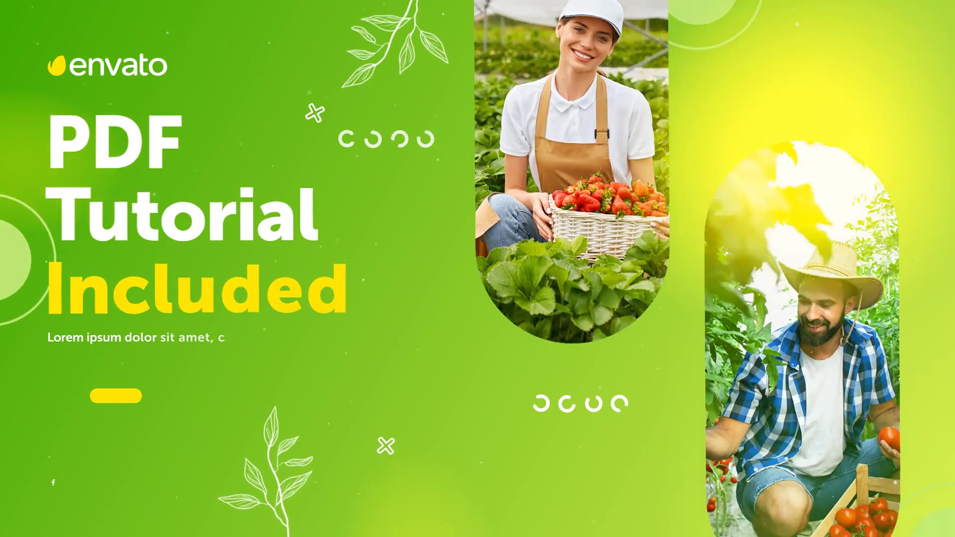 Agriculture Promo Videohive 33738846 After Effects Image 7