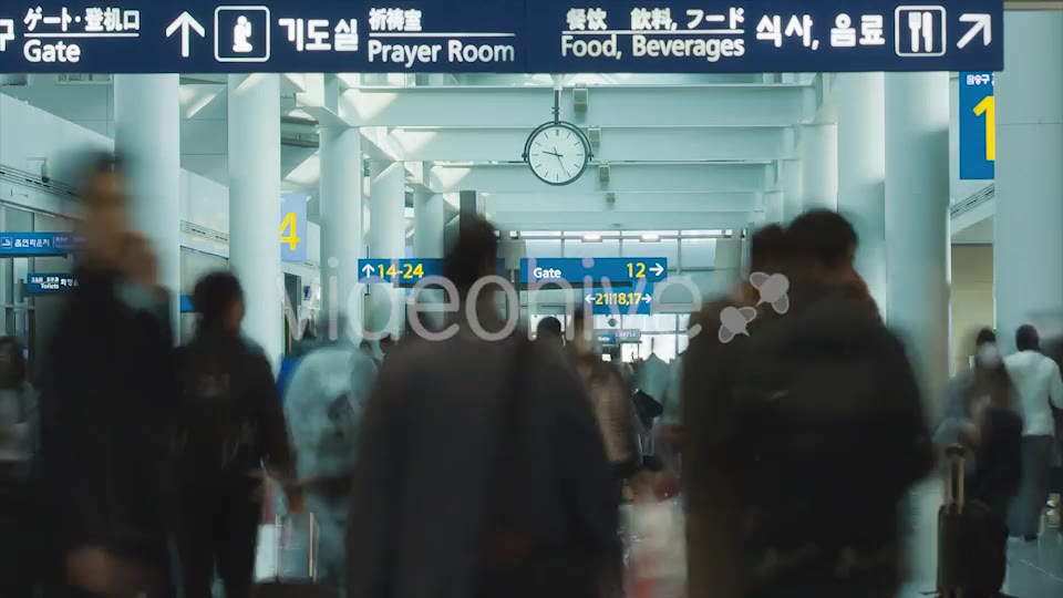 Airport Traffic  Videohive 9637944 Stock Footage Image 10