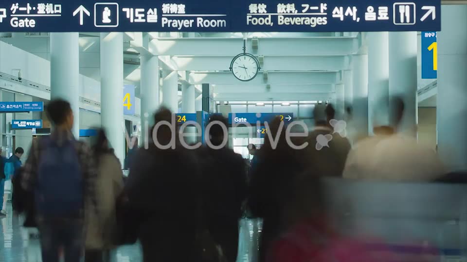 Airport Traffic  Videohive 9637944 Stock Footage Image 11