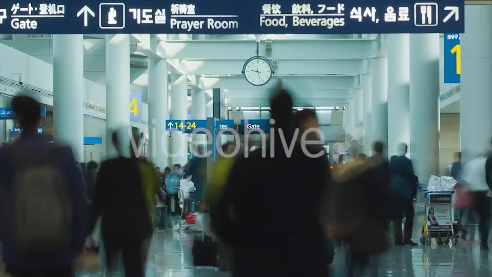 Airport Traffic  Videohive 9637944 Stock Footage Image 12
