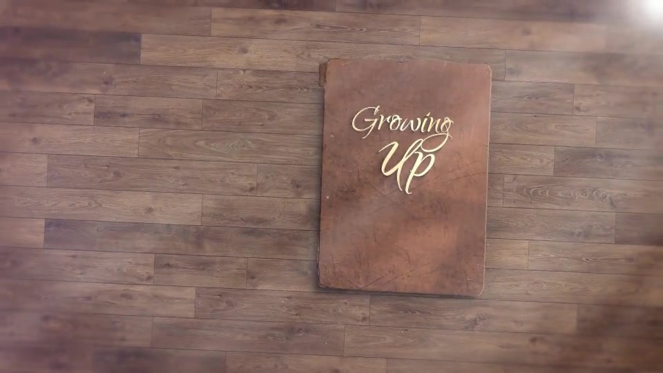 Album: Book Intro & Outro Videohive 6025737 After Effects Image 12