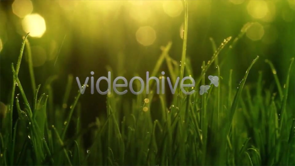 Alpha Logo - Download Videohive 5010672