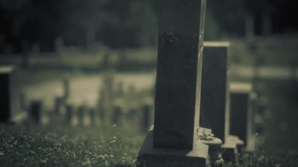 Among The Dead - Download Videohive 9715137