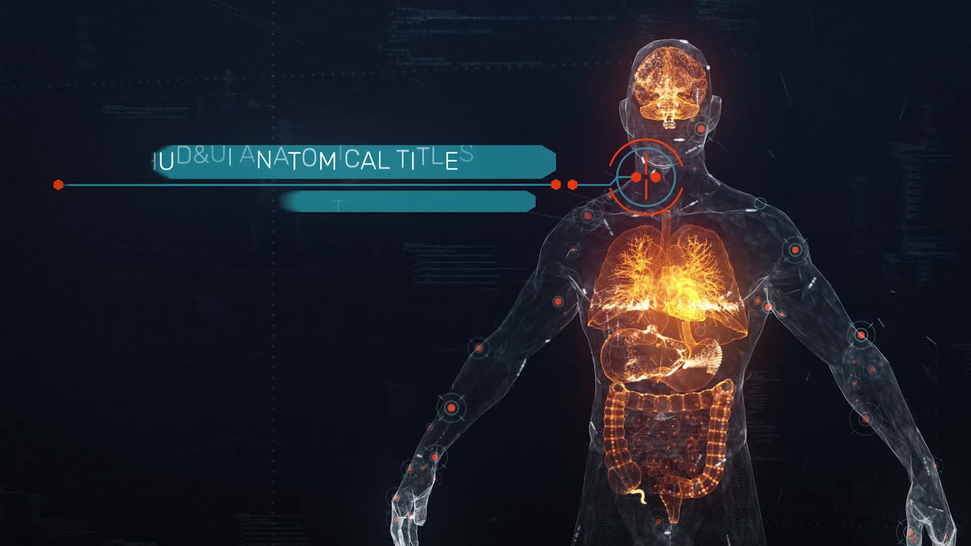 Anatomical HUD UI Titles Videohive 33211726 After Effects Image 1