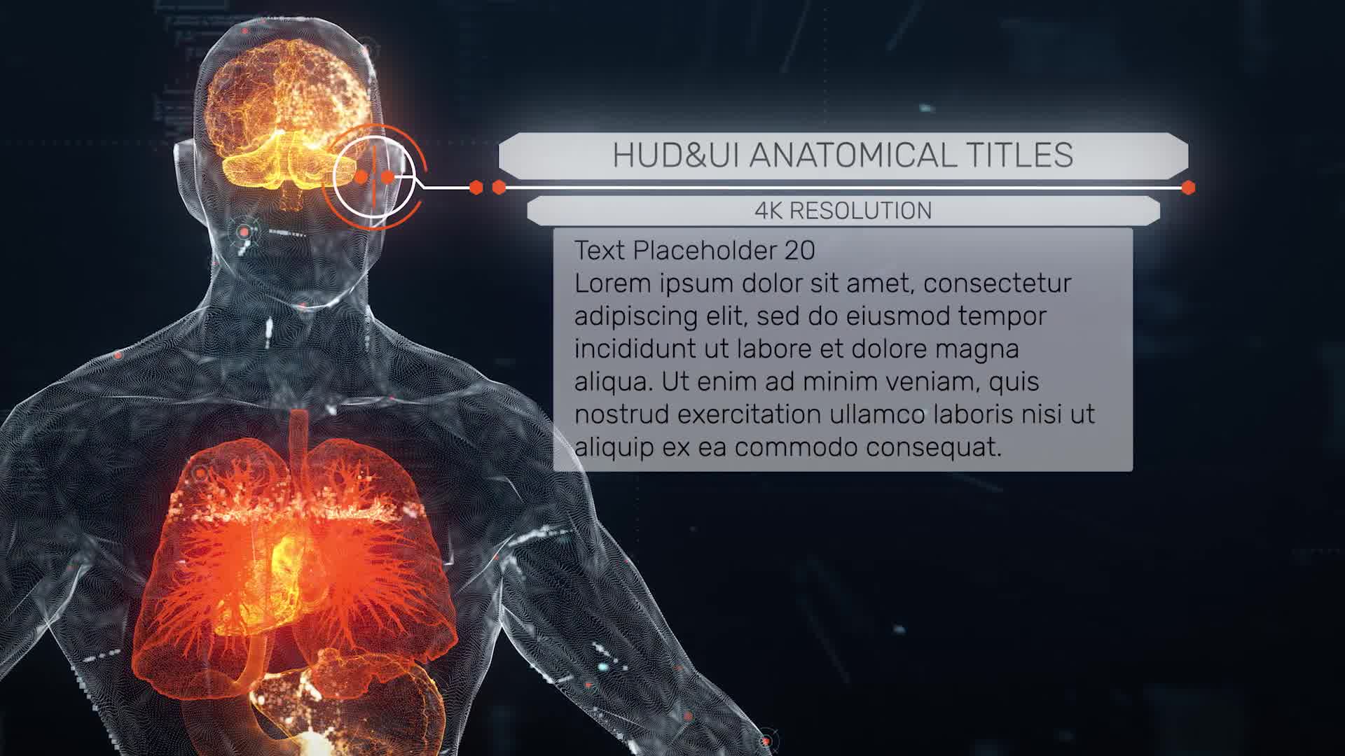 Anatomical HUD UI Titles Videohive 33211726 After Effects Image 10