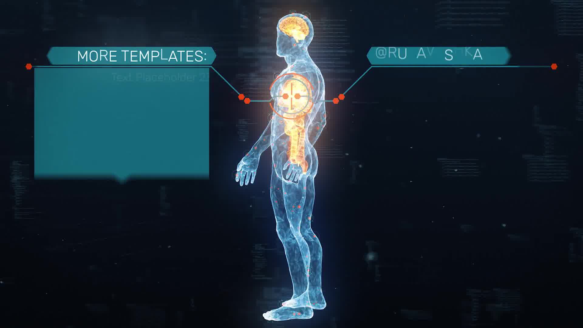 Anatomical HUD UI Titles Videohive 33211726 After Effects Image 11