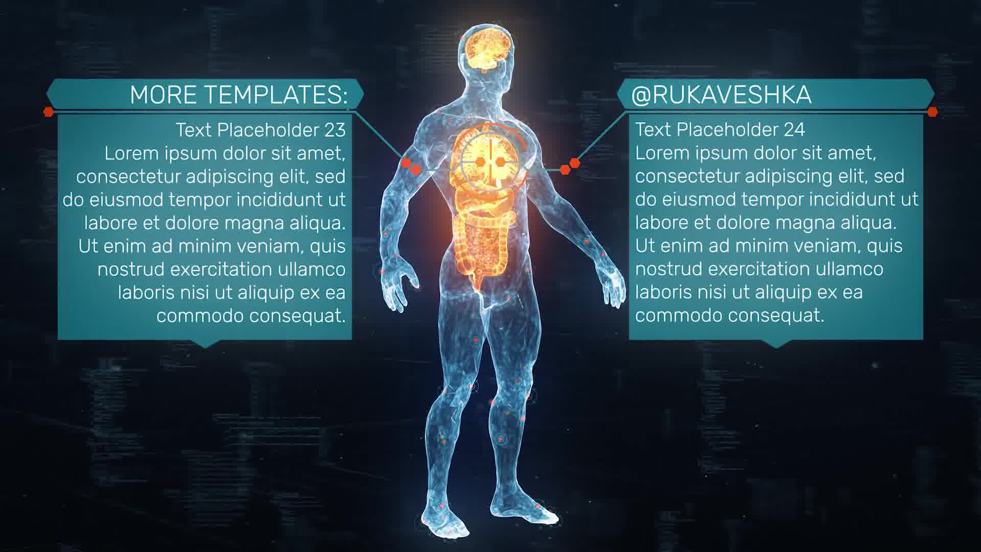 Anatomical HUD UI Titles Videohive 33211726 After Effects Image 12