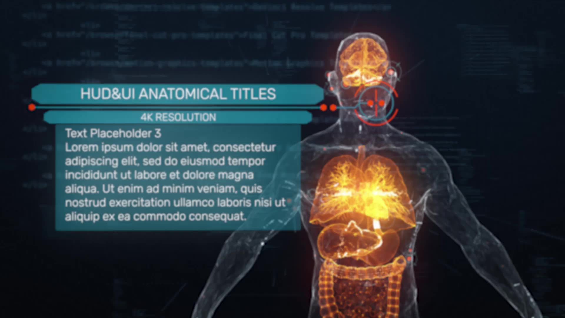 Anatomical HUD UI Titles Videohive 33211726 After Effects Image 2
