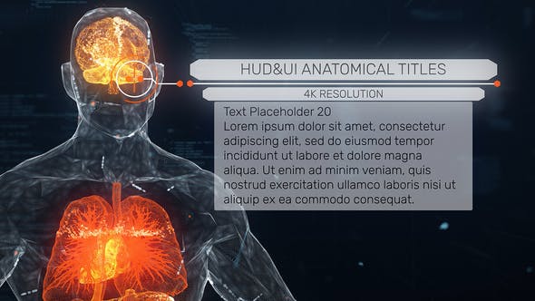 Anatomical HUD UI Titles - Videohive 33211726 Download