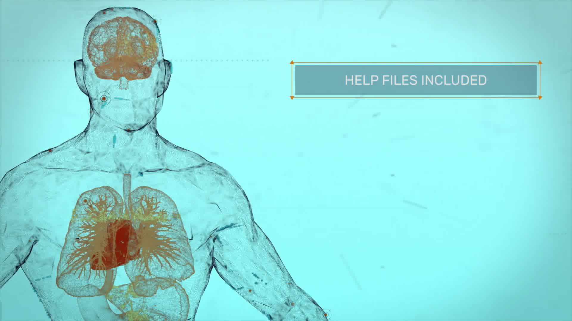 Anatomical HUD&UI Titles Videohive 31538280 After Effects Image 10