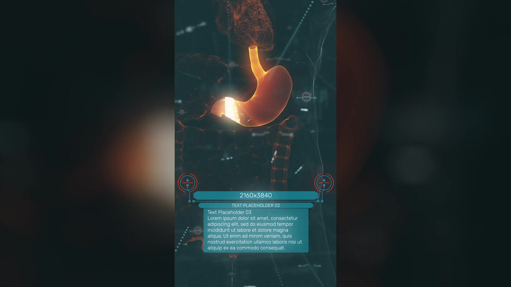 Anatomical Vertical HUD UI Titles Videohive 36051112 After Effects Image 10