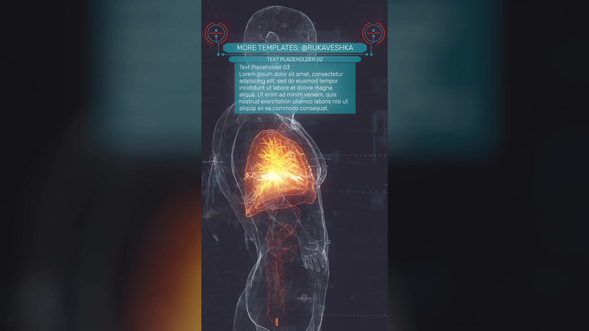 Anatomical Vertical HUD UI Titles Videohive 36051112 After Effects Image 5