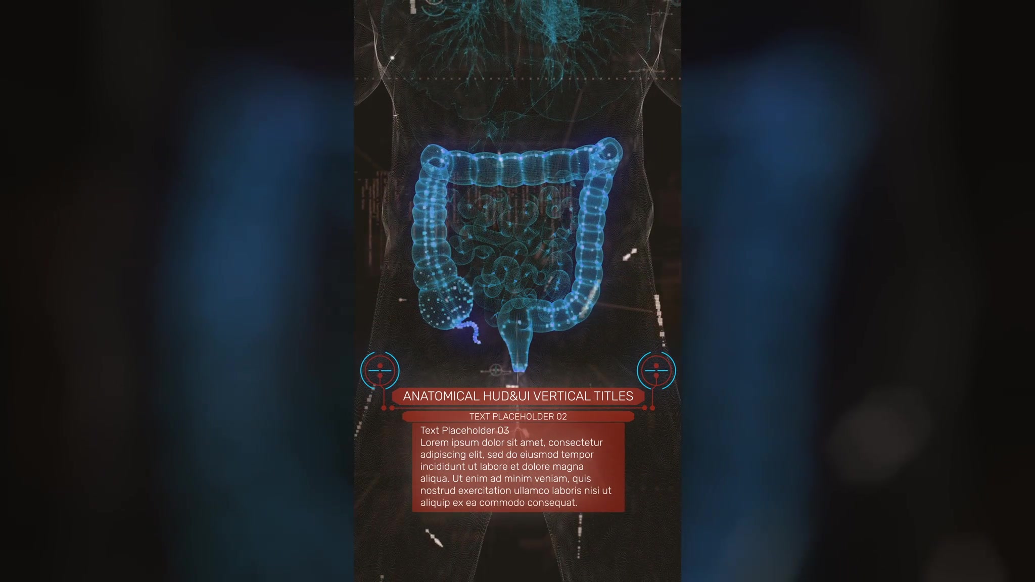 Anatomical Vertical HUD UI Titles Videohive 36051112 After Effects Image 8