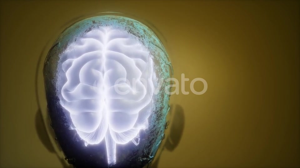 Anatomy of Human Brain - Download Videohive 21742933