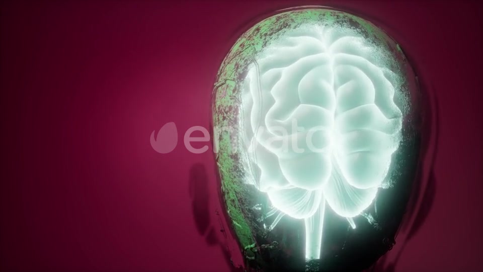 Anatomy of Human Brain - Download Videohive 21843527