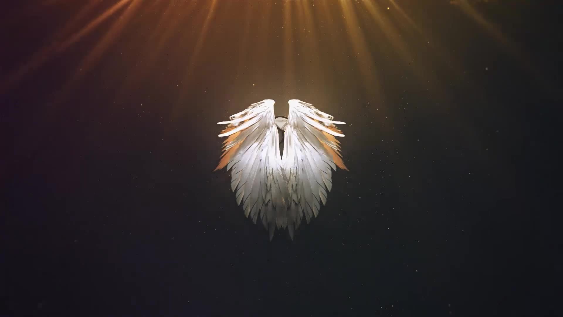 Angel Wings Logo Videohive 31215624 After Effects Image 1