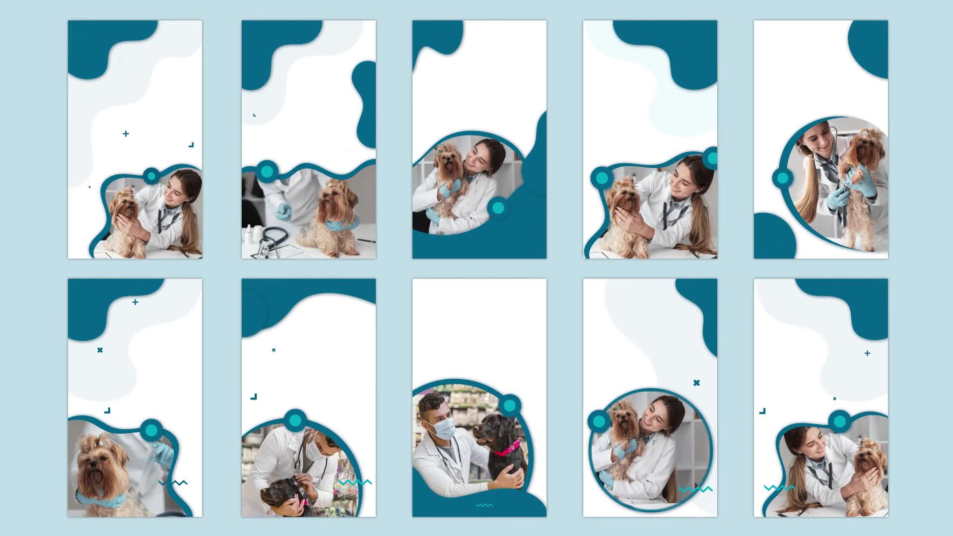 Animal Health Care Instagram story Videohive 32796963 After Effects Image 1