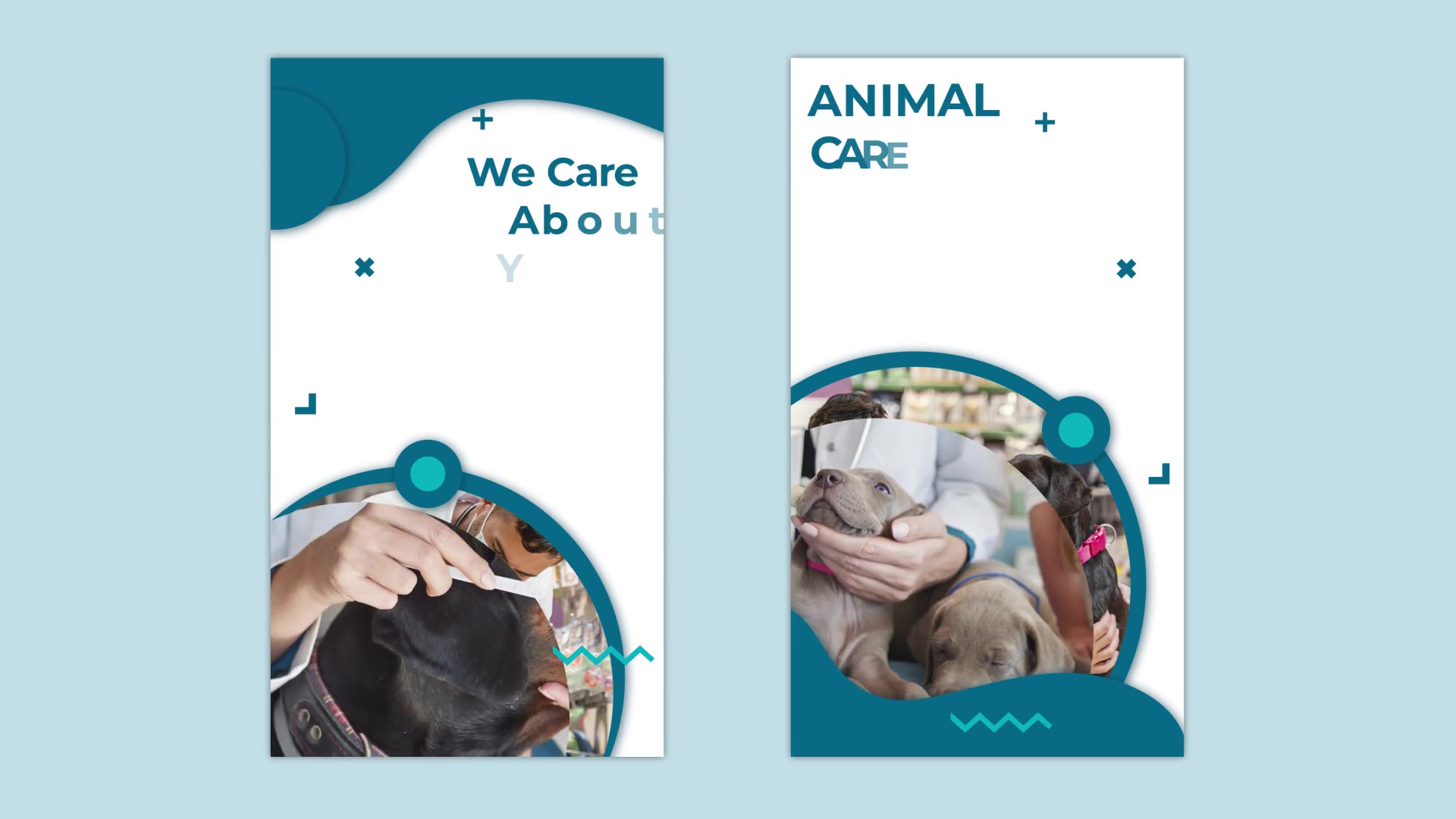 Animal Health Care Instagram story Videohive 32796963 After Effects Image 10