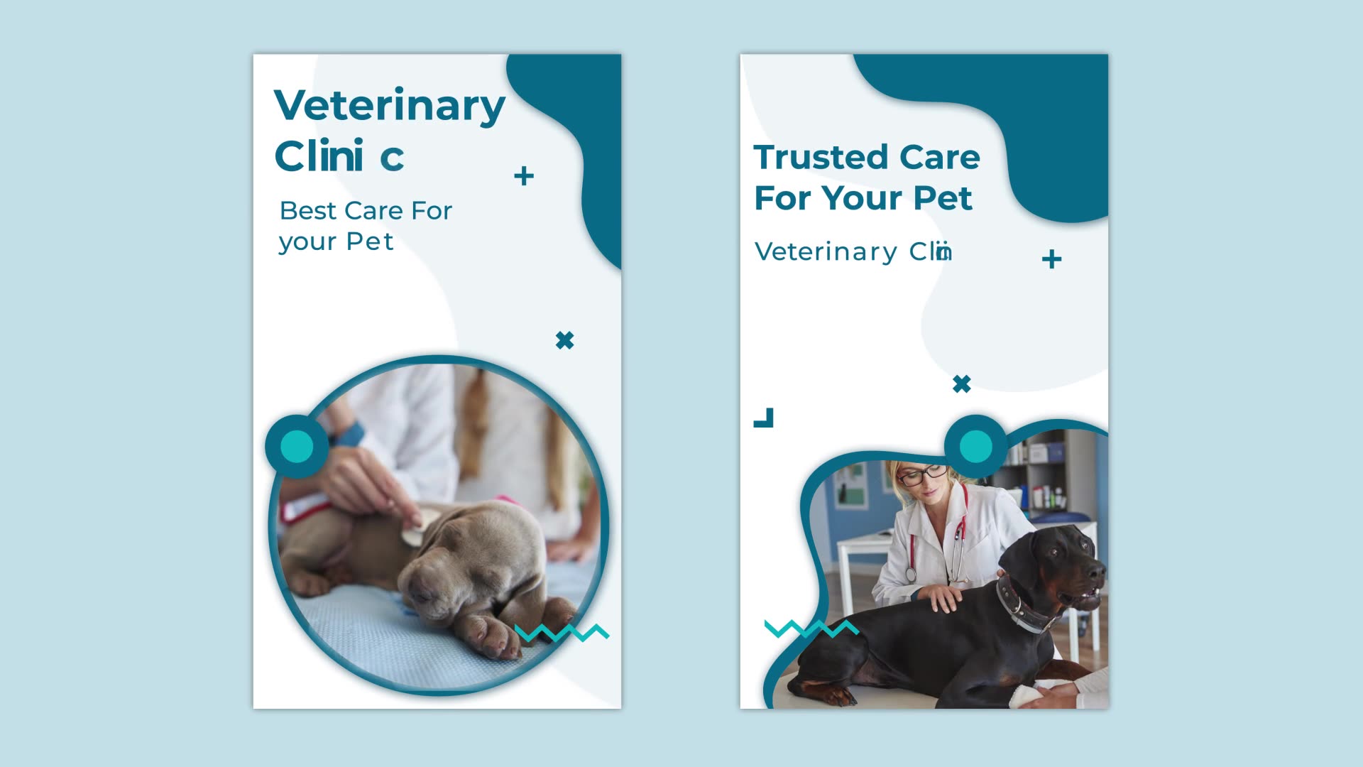 Animal Health Care Instagram story Videohive 32796963 After Effects Image 12