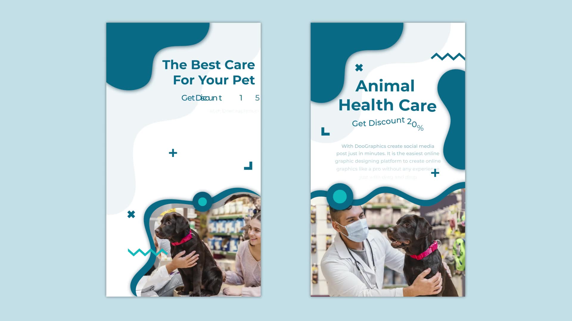 Animal Health Care Instagram story Videohive 32796963 After Effects Image 3