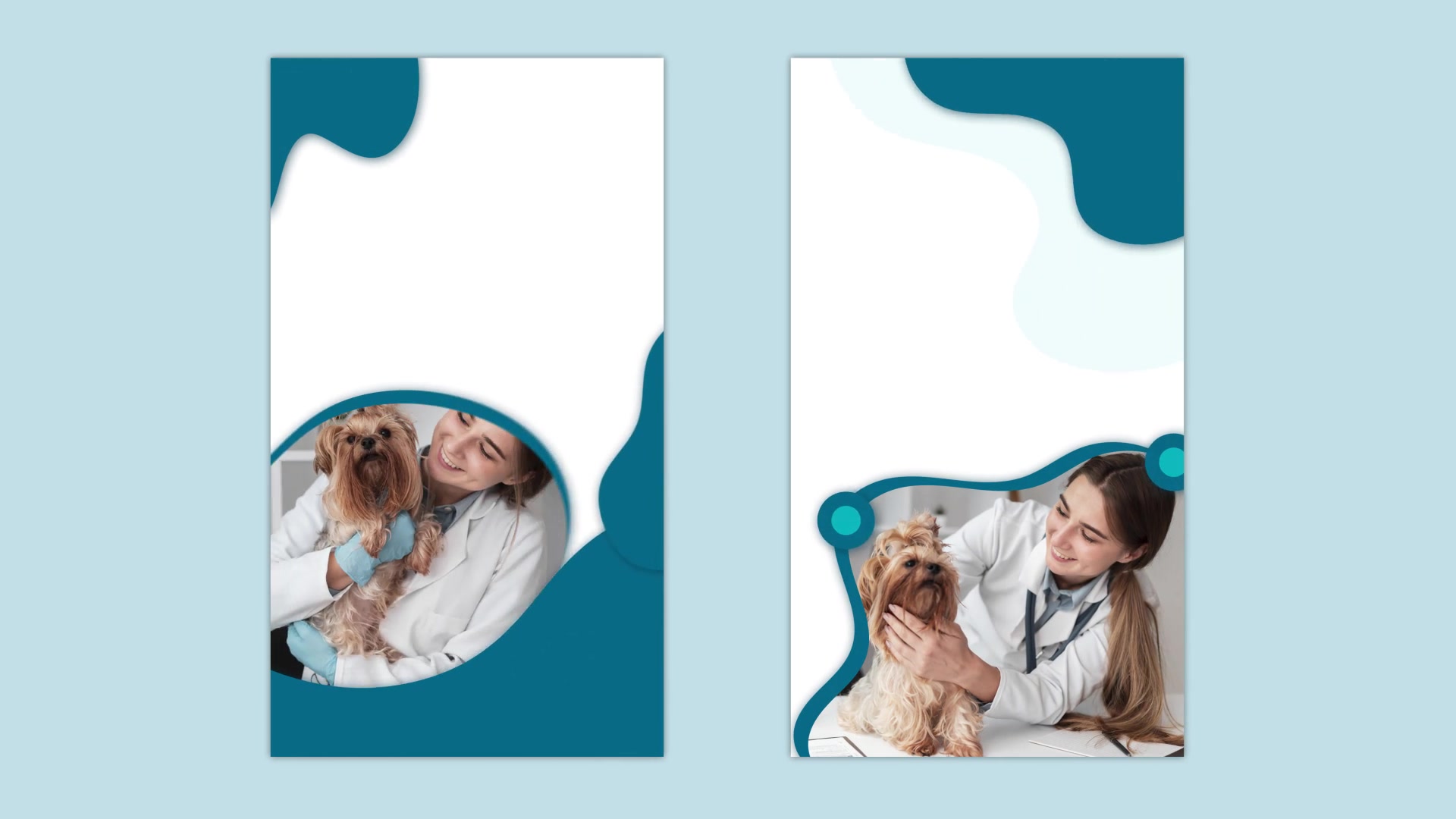 Animal Health Care Instagram story Videohive 32796963 After Effects Image 6