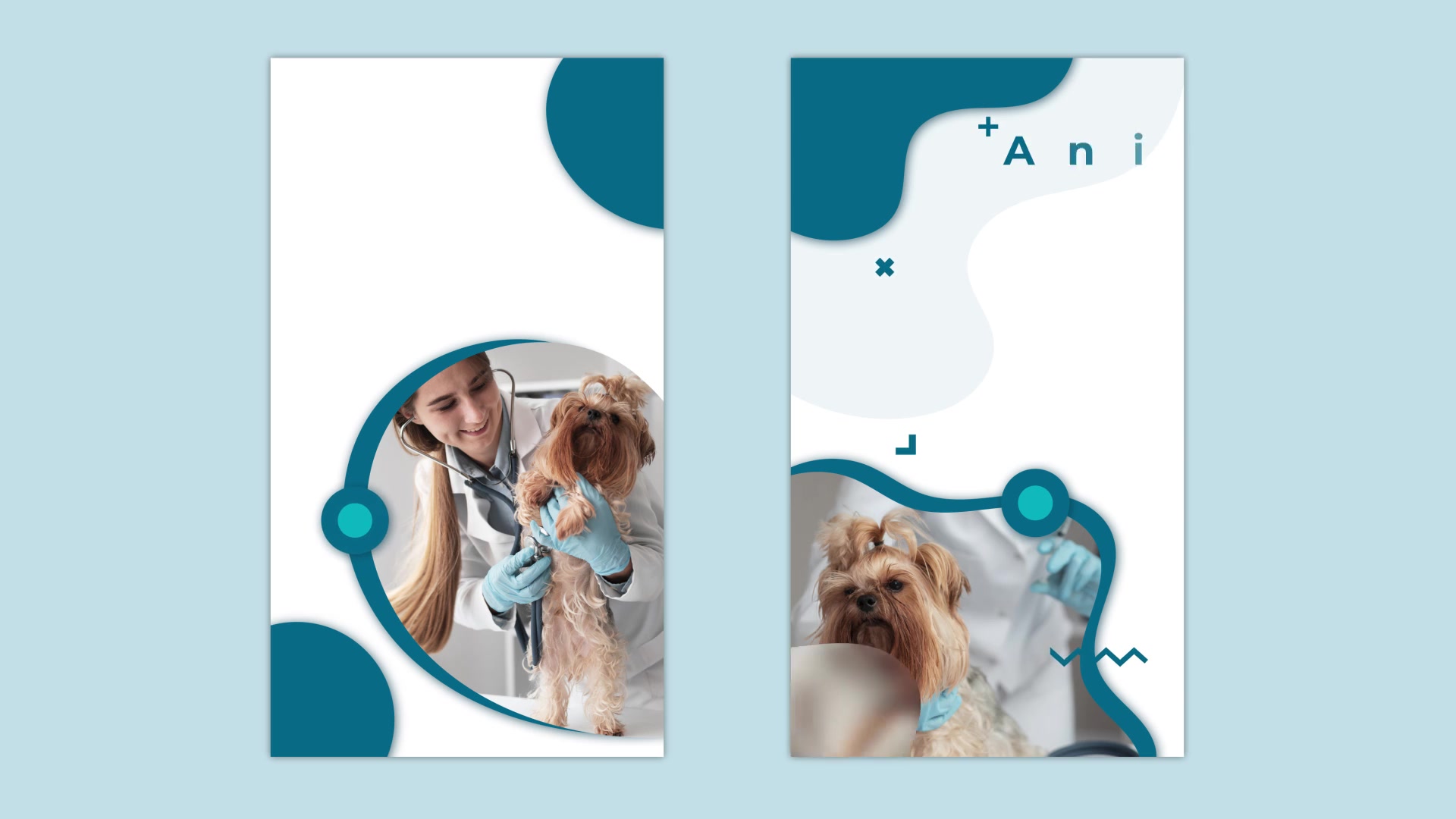 Animal Health Care Instagram story Videohive 32796963 After Effects Image 8