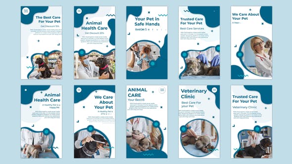 Animal Health Care Instagram story - Videohive Download 32796963