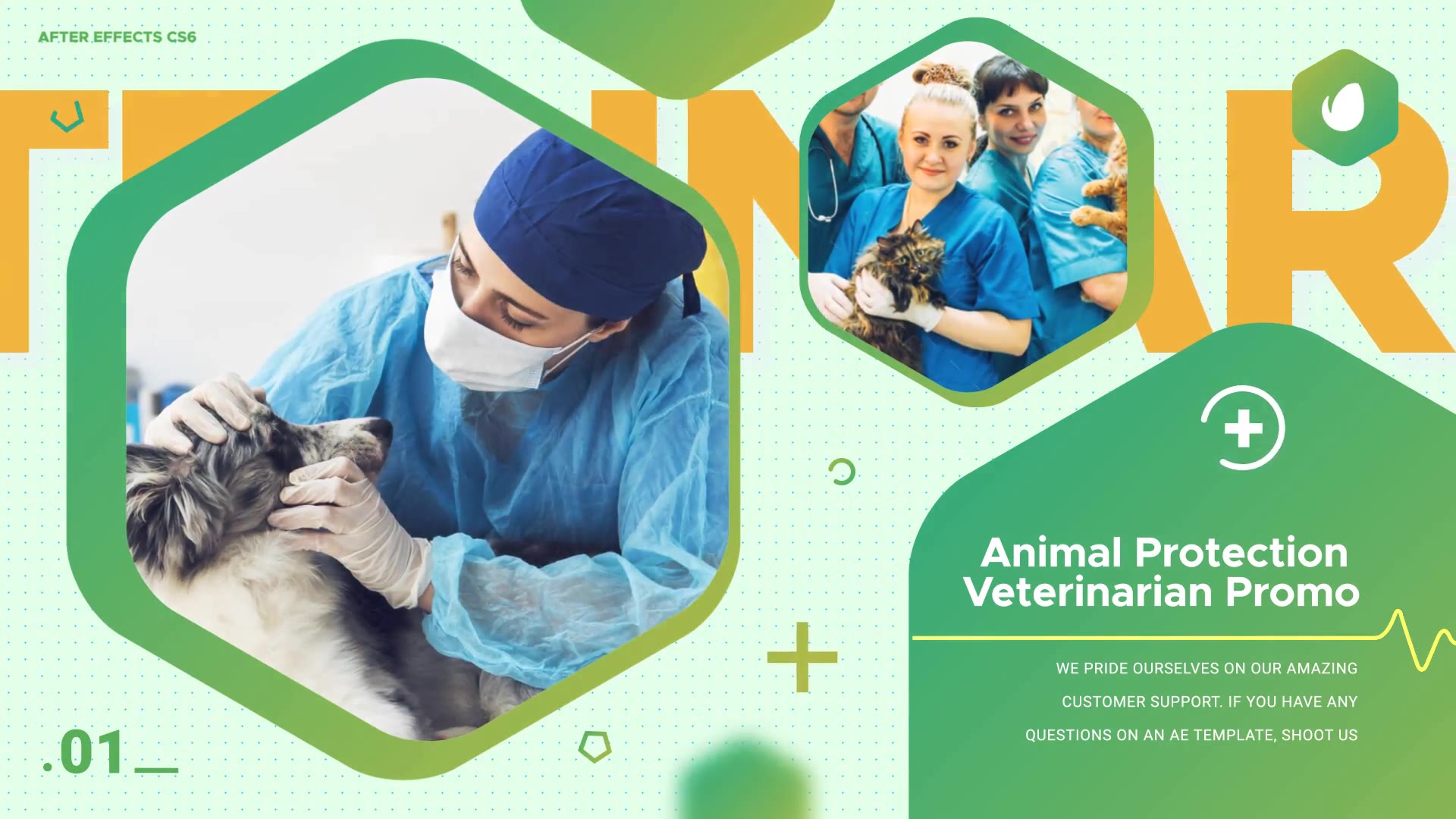 Animal Protection Veterinarian Promo Videohive 24939415 After Effects Image 2