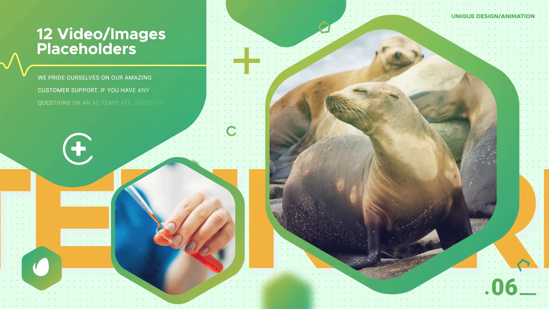 Animal Protection Veterinarian Promo Videohive 24939415 After Effects Image 6