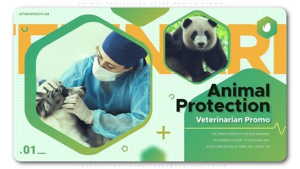 Animal Protection Veterinarian Promo - 24939415 Videohive Download