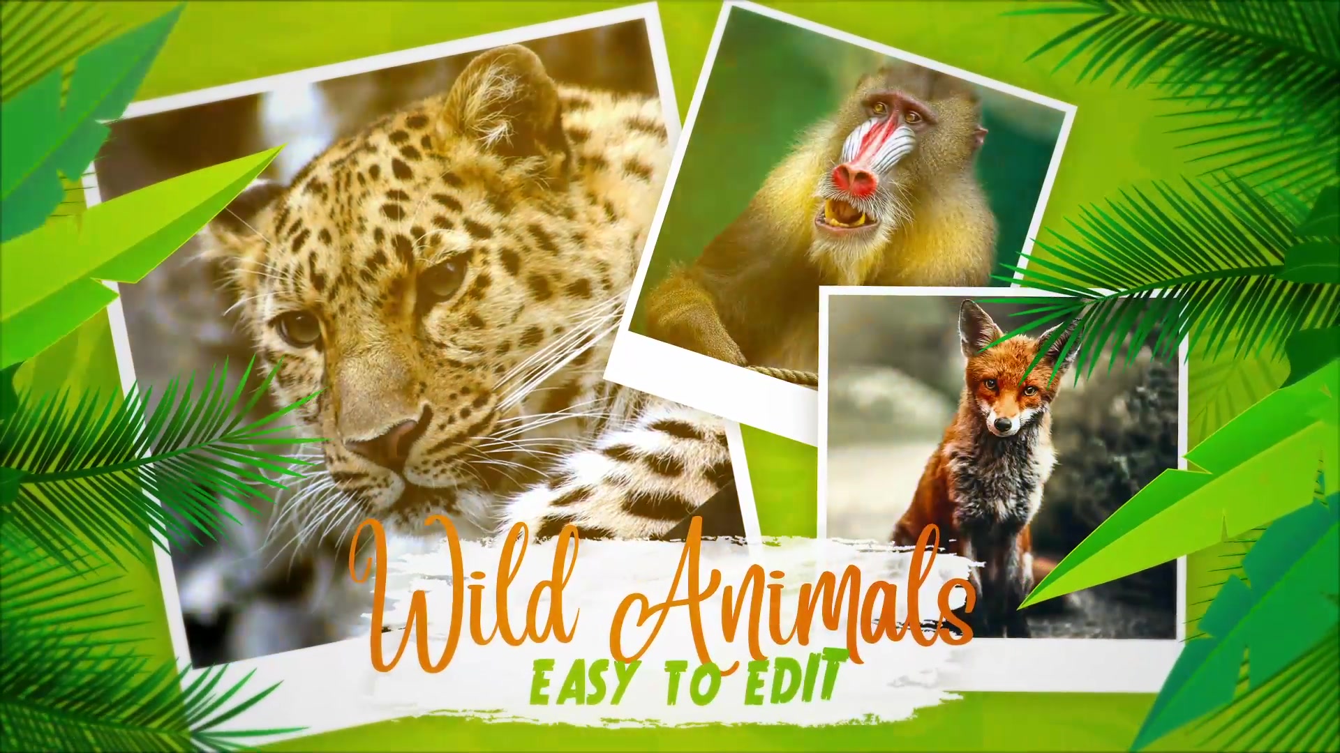 Animals World Slideshow Videohive 31050522 After Effects Image 5